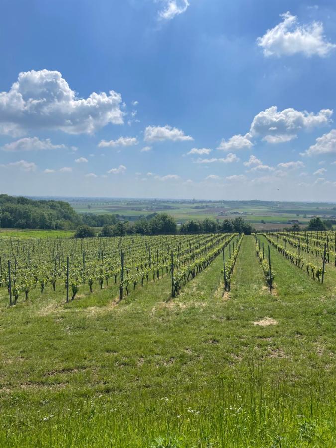 52 Bailleul (Nord) Exterior foto